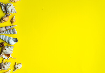 Summer background with sea shells