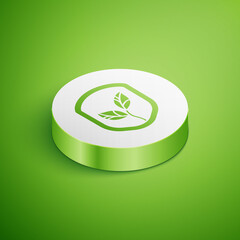 Isometric Shield with leaf icon isolated on green background. Eco-friendly security shield with leaf. White circle button. Vector