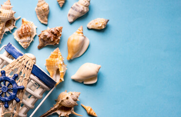 Summer background with sea shells