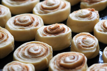 Fototapeta premium Sweet cinnamon rolls ready to bake in the oven