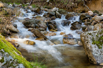 mountain stream, in the spring