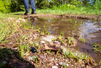 Felsenweg im Schwarzwald bei Ottenhöfen.
