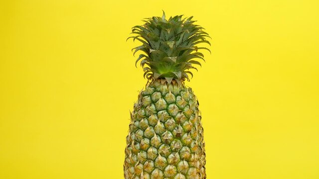 Fresh nutritional pineapple rotating / spinning against a colorful background. Closeup shot of juicy summer fruit / Ananas good in healthy antioxidants placed beautifully - tropical fruit