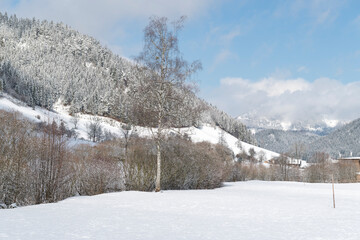 Mostviertel in winter