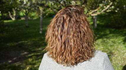background, balayage, beautiful, beauty, brown, brunette, care, color, coloration, curls, curly,...