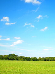 初秋の草原と林風景