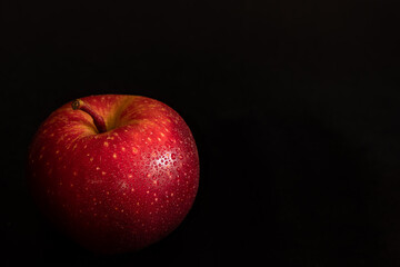 Fototapeta na wymiar Fresh ripe red apple with water drops on glossy peel on black background