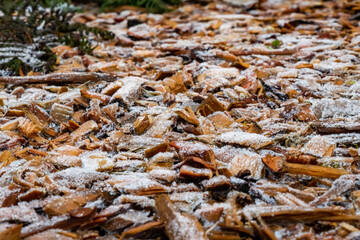 Close up of white frost covered wood chips in winter
