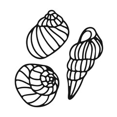 Set Of Different Seashells thin line icon marine life sea ocean On White Background Illustration Design Logo Template