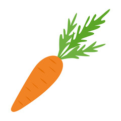 Carrot isolated on a white background in a flat style.