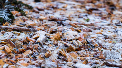 Close up of white frost covered wood chips in winter