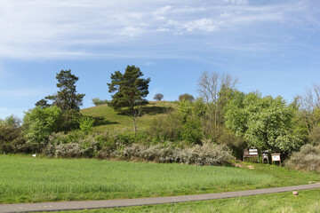 The Little Rummelsberg hill near the Eco-Village Brodowin in May