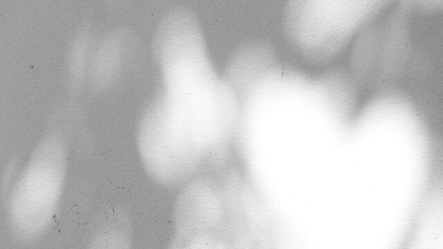 Leaves  shadow on the wall  , outdoor  Chiangmai  Thailand