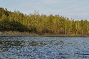 lake in the woods