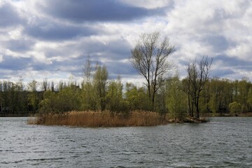 Fototapeta na wymiar lake in the woods