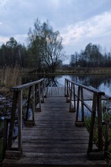 wooden bridge over lake