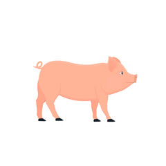 Pig. Animal piglet, vector illustration