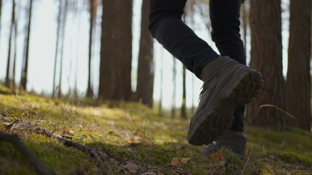 Close up of men legs hiking steep terrain in slow motion. Feet in Hiking Boots Walking on Autumn Road. man feet tracking on fall day outdoors, walking through woodland