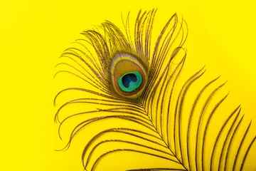 Keuken spatwand met foto peacock feathers iridescent blue green gold with a peephole on a bright yellow background © Alex