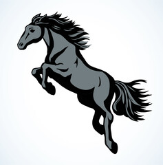 Naklejka na ściany i meble Galloping horse. Vector drawing icon