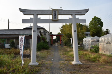 日本　埼玉　鷲宮神社　上野田　5月の風景