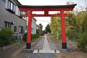 日本　埼玉　鷲宮神社　上野田　5月の風景