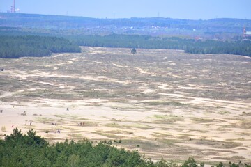Pustynia Błędowska, Małopolski Park Krajobrazowy Orlich Gniazd © Albin Marciniak
