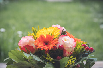 Greetings, anniversary or Mother’s Day concept: Close up of colorful fresh spring flower bouquet with gerbera and pink roses