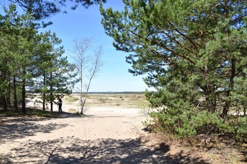 Pustynia Błędowska, Małopolski Park Krajobrazowy Orlich Gniazd © Albin Marciniak