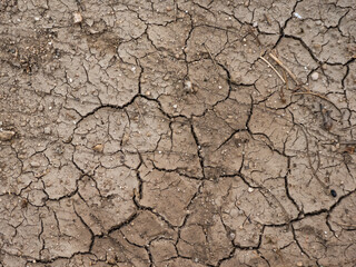 Texture of dry and cracked mud