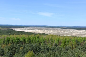 Fototapeta na wymiar Pustynia Błędowska, Małopolski Park Krajobrazowy Orlich Gniazd