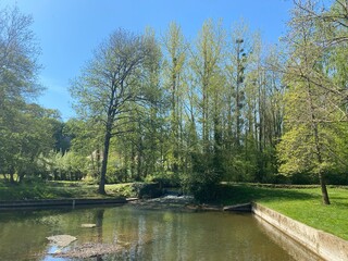 Petit étang de Celle-Lévescaut