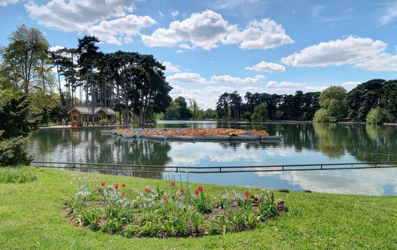 Bois De Boulogne à Paris