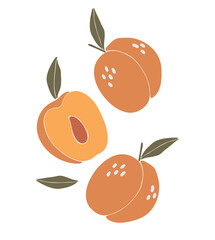 Abstract peach fruit vector, summer fruit illustration, boho peach vector