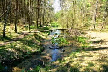 Rzeka Biała Przemsza, Pustynia Błędowska, Małopolski Park Krajobrazowy Orlich Gniazd