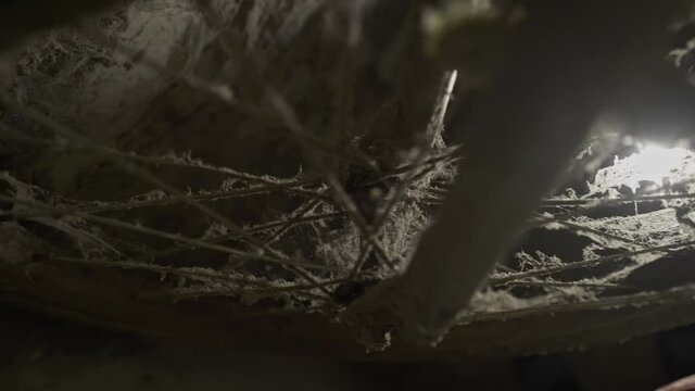Dark closet. An old children's bicycle is gathering dust in the attic. Father's old-fashioned bicycle. Bike from the past. Cobwebs covered the children's bike. Growing up.