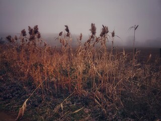 the world through my eyes dagestan travel