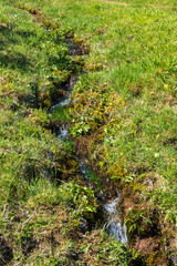 Stream on a grass meadow with running water