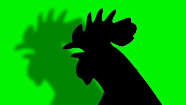 Head of Singing Rooster With Shadow
2D cartoon animated rooster singing.Includes green screen/alpha matte.Seamless loop.