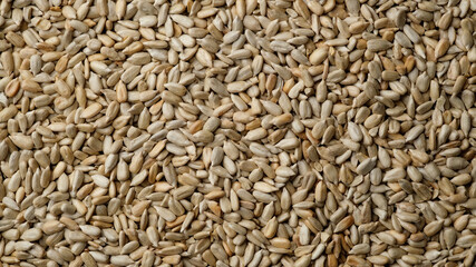 shelled sunflower seeds top view