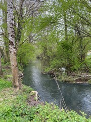 Rivière Auxance dans la Vienne