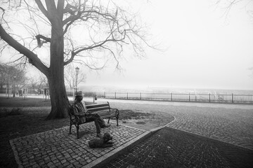 bench in the fog