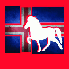 icelandic horse pony merch womens jersey t shirt (37) poster design illustration vector