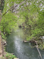 Rivière Auxance dans la Vienne