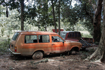 Wrecks of old cars among the trees in the forest.