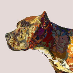 American pit bull terrier portrait in profile
