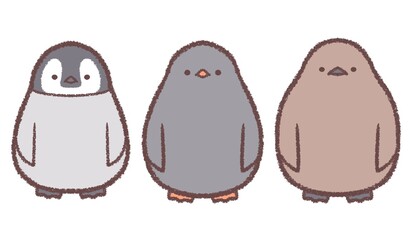 ペンギンのヒナ3種類セット