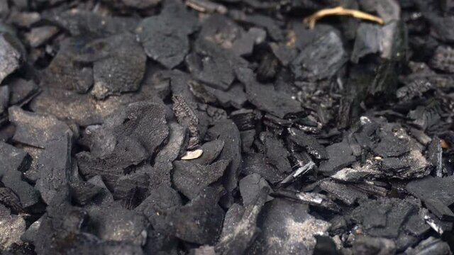 Black charcoal close-up. Background image. High quality 4k footage
