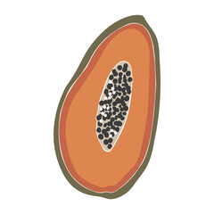 Abstract papaya fruit vector, summer fruit illustration, boho papaya vector