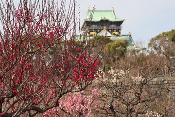 大阪城と梅林